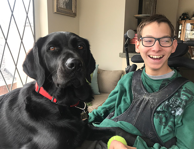 young man dog wheelchair