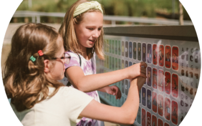 Surviving Sibling Conflict During Summer Break